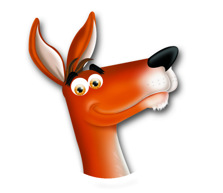 Kangaroos in the classroom