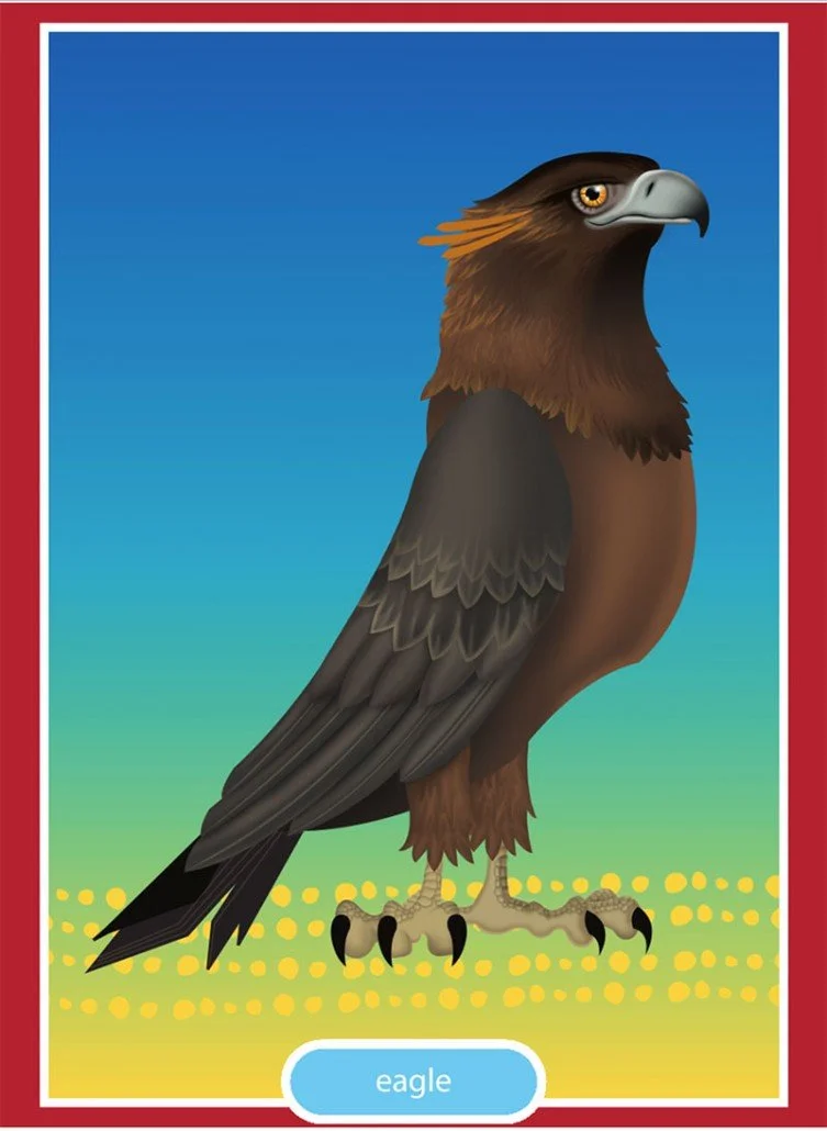 Entry Level Eagle Certificates: pack of 25