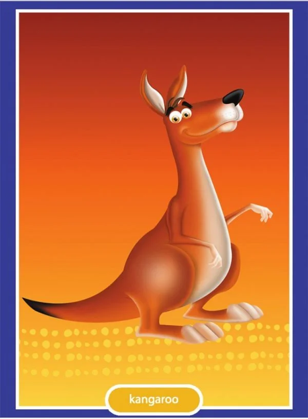 Intermediate Level Kangaroo Certificates: pack of 25