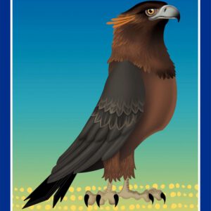 Intermediate Level Eagle Certificates: pack of 25